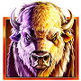 Buffalo